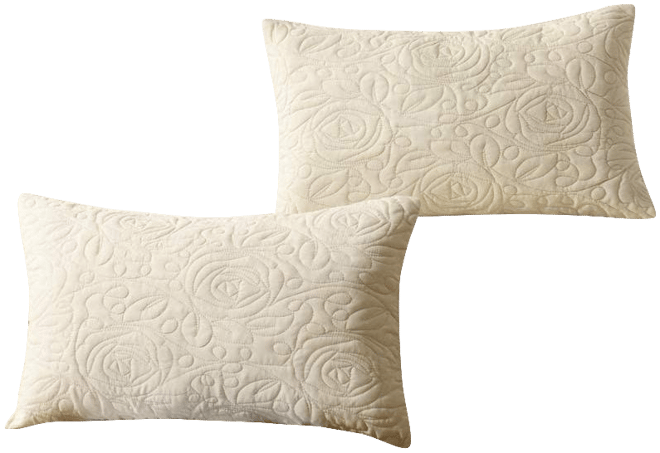 2 Pack Throw Pillow Cover Euro Sham Covers Lumbar Pillow Cover