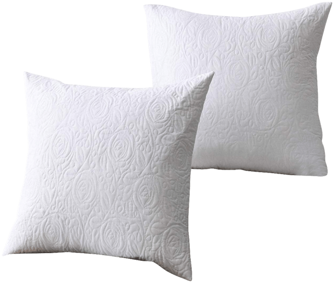 2 Pack Throw Pillow Cover Euro Sham Covers Lumbar Pillow Cover