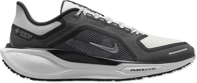 Nike Air ZOOM Pegasus 41 GTX - Men's | Foot Locker