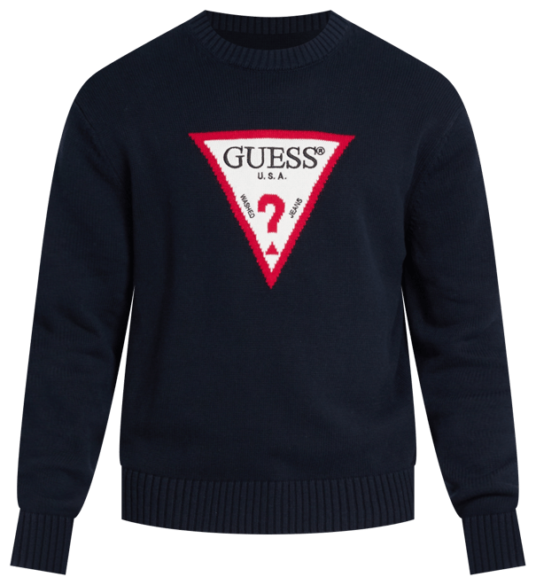 Men's Big Triangle Logo Sweater