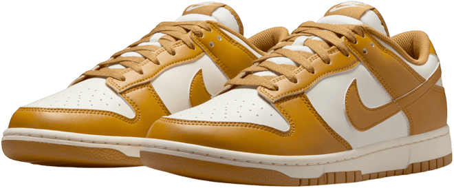 Nike Dunk Low Retro Tenis para hombre