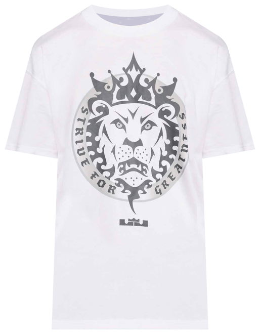 LeBron Men's Max90 Basketball T-Shirt