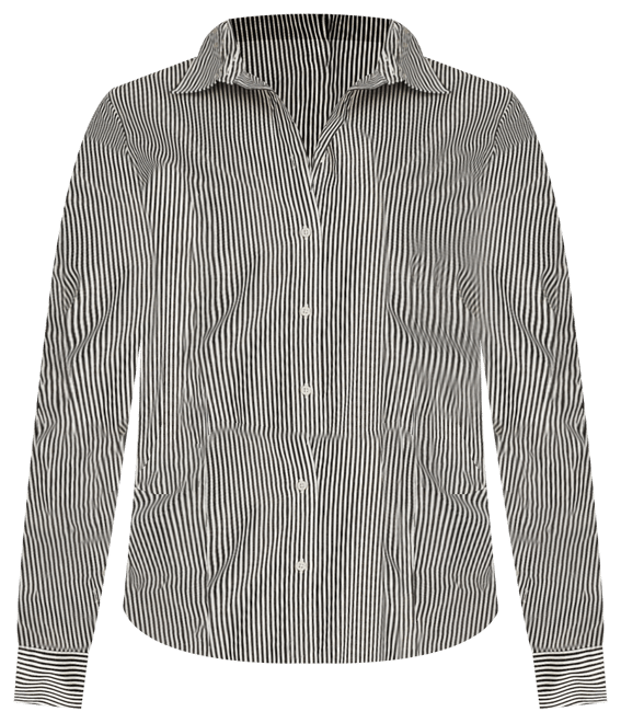 Plus-Size Easy Care Cotton Shirt