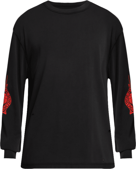 NIKE Jordan Rare Air Wash '85 Crew Tシャツ ジョーダン JORDAN BRAND M J RARE AIR WSH 85 SS CREW / ジョーダン