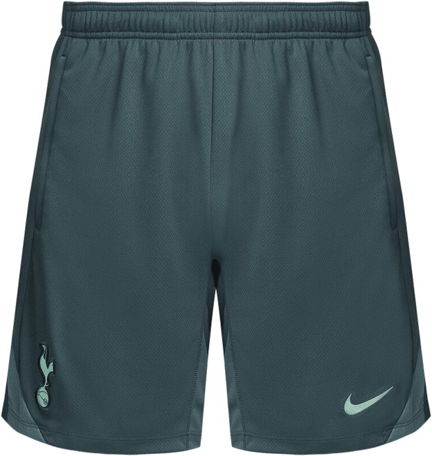 Men's Green Tottenham Hotspur 2024/25 Third Strike Training Performance Shorts