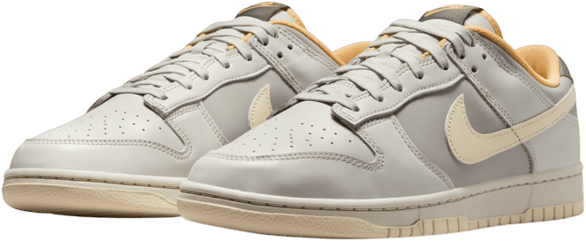 Nike Dunk Low Retro Men's Shoes