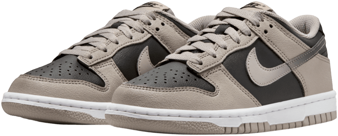 Nike Dunk Low Big Kids' Shoes