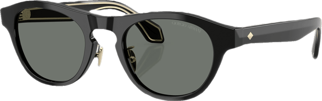 Men's Sunglasses AR8225