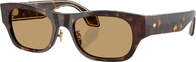 Men's Sunglasses AR8224