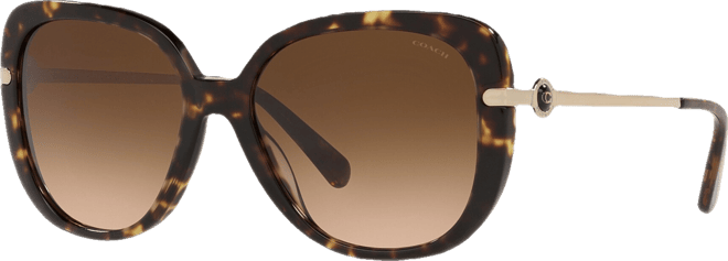 Women's Sunglasses, HC8320 55