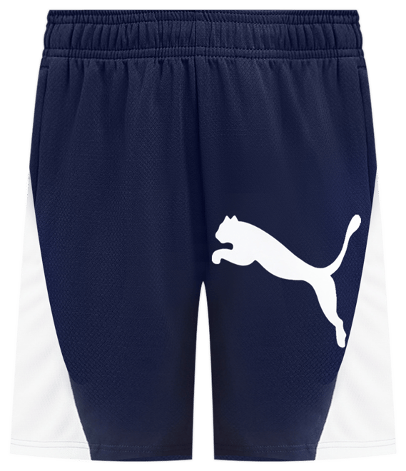 Men's Tad Tech Knit Logo Shorts