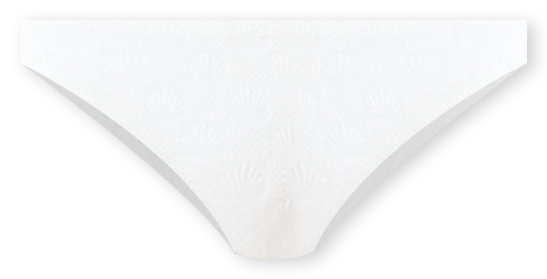  Seashell Camacho Bikini Bottom for $84.00