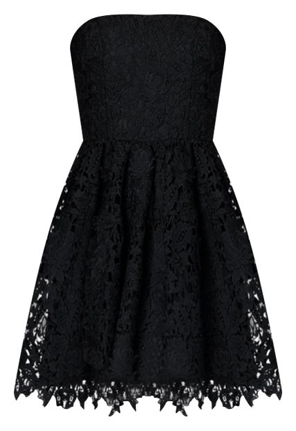 Women's Straples Lace Cupcake Dress