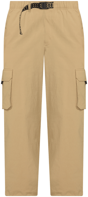 ナイキ SB カーニー カーゴ スケートボードパンツ