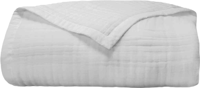 Cotton Gauze Blanket, Twin