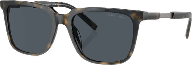 Men's Sunglasses, AR8202U