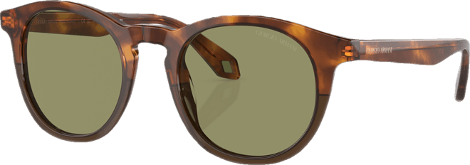Men's Sunglasses, AR8192
