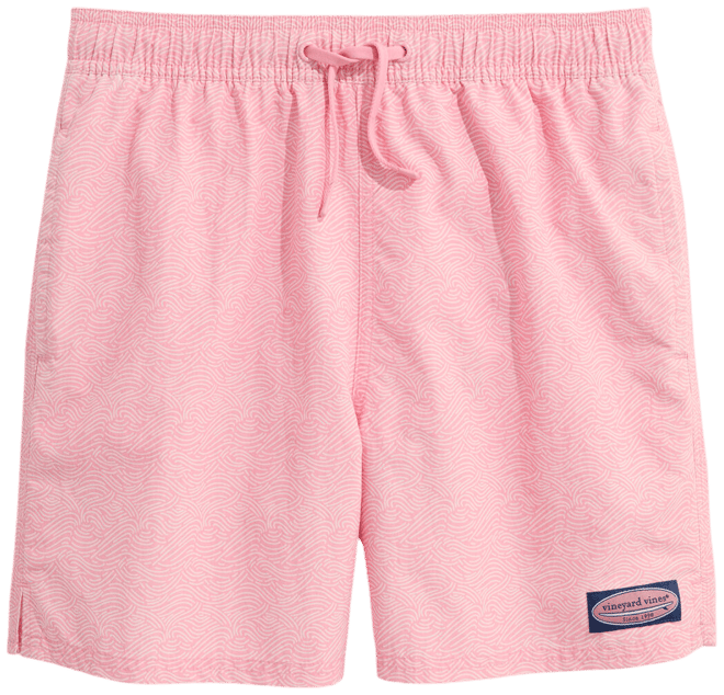 Boys' Island Swim Trunks