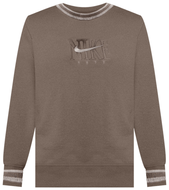 Nike Sportswear Phoenix Fleece Women's Oversized Graphic Crew-Neck Sweatshirt (Plus Size)
