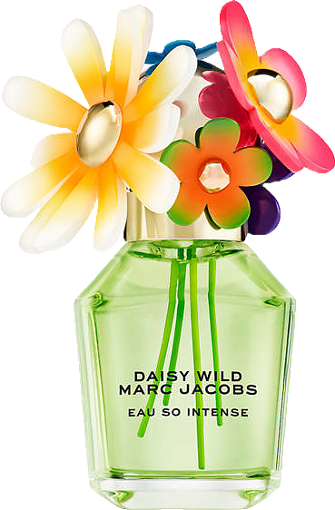 Marc Jacobs Daisy Wild Eau So Intense Eau de Parfum | Belk