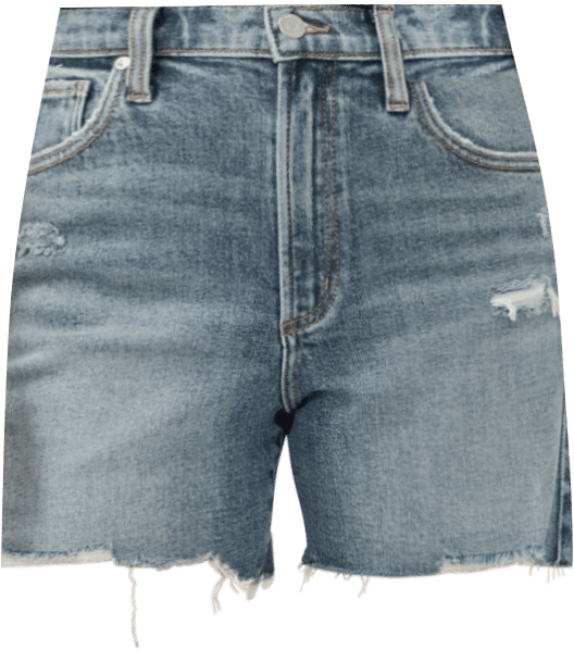 Women's Highly Desirable High Rise Shorts