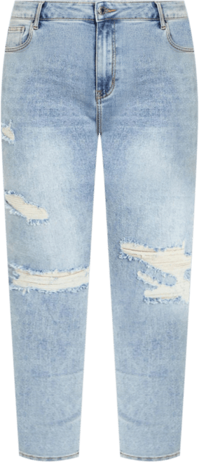 Plus Size Asha Jojo Distressed Detail Crop Jean