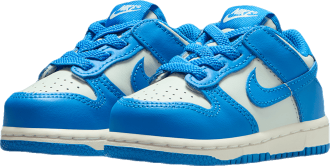 Nike Dunk Low Bebek Ayakkabısı