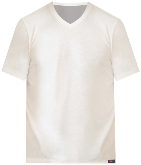  Short-Sleeve Sunwashed Regenerative Cotton V-Neck T-Shirt