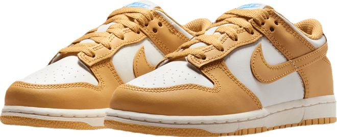 Nike Dunk Low Little Kids' Shoes