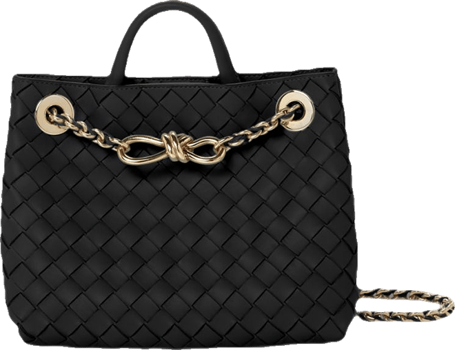 Bottega Veneta Small Andiamo Chain Bag | Bloomingdale's