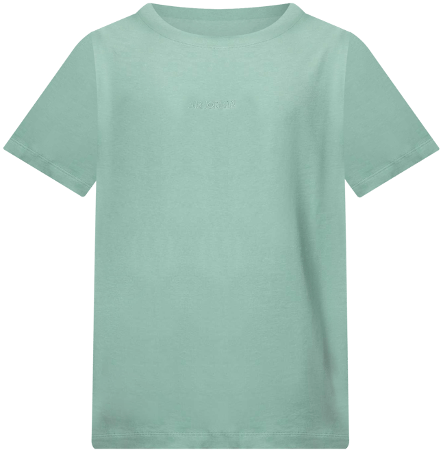 エア ジョーダン ワードマーク 85 メンズ Tシャツ