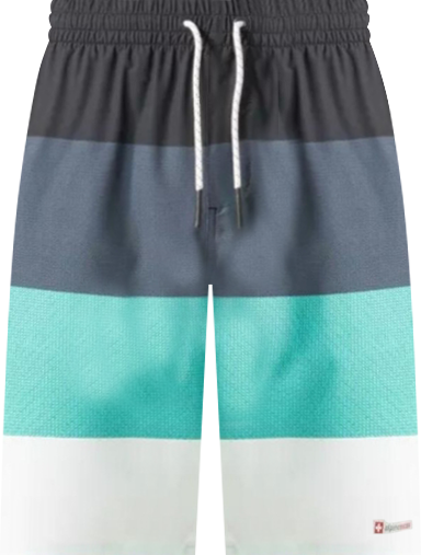 Men's Swim Shorts Beach Trunks Boardshorts Volley Shorts Quick Dry