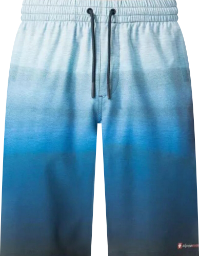 Men's Swim Shorts Beach Trunks Boardshorts Volley Shorts Quick Dry