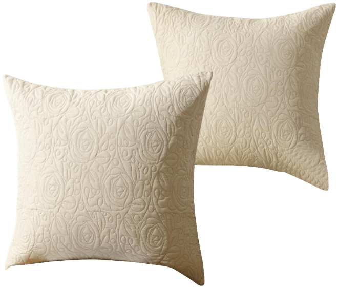 2 Pack Throw Pillow Cover Euro Sham Covers Lumbar Pillow Cover