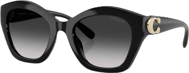 Women's Large Sunglasses, CAD31 HC8421U