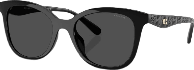 Women's Large Sunglasses, CAD25 HC8419U