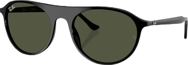 Unisex Large Sunglasses, RB2215