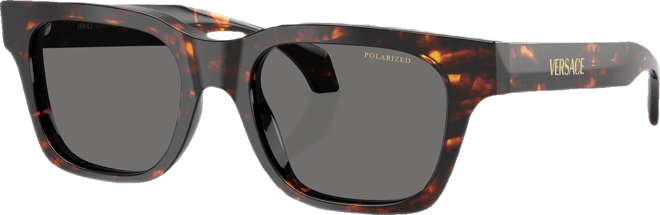 Men's Polarized Sunglasses, VE4486