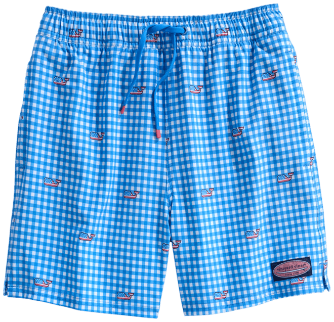 Boys' Printed Chappy Swim Trunks