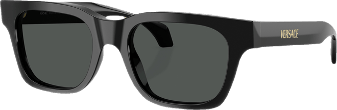 Men's Large Sunglasses, VE4486