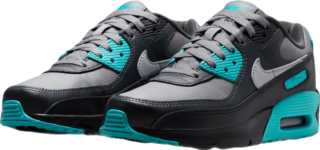 Nike Air Max 90 LTR Sko til større børn
