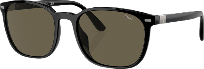 Men's Standard Sunglasses, PH4208U