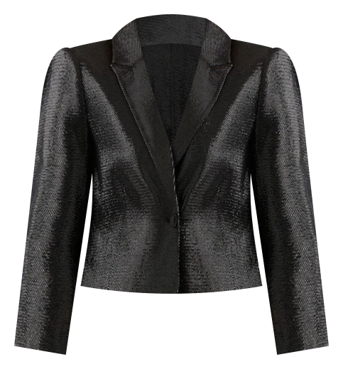 Azalea Shimmer Crop Jacket in Black