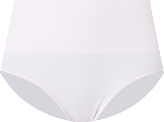 Women's Seamless Shaping Brief Underwear 40047R