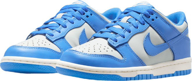 Nike Dunk Low Big Kids' Shoes