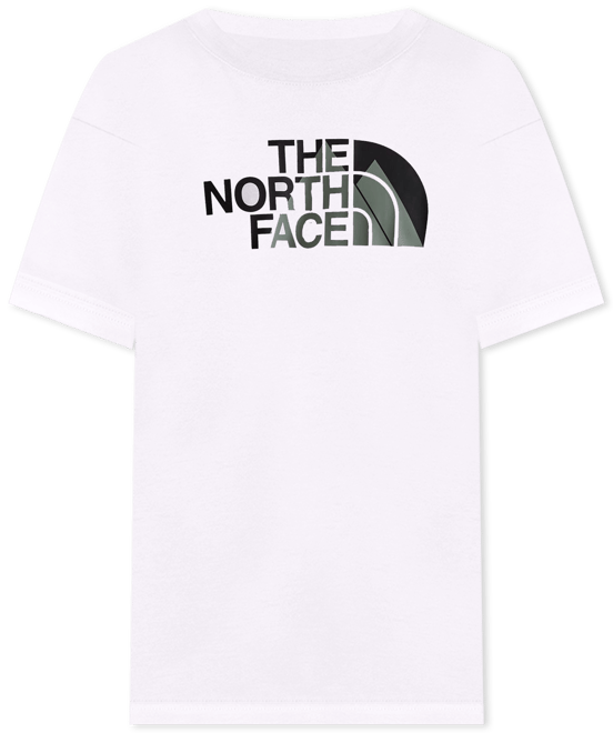 The North Face Graphic Tee – DTLR