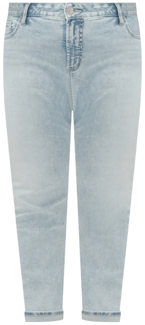 Plus Size Girlfriend Mid Rise Skinny Leg Jeans