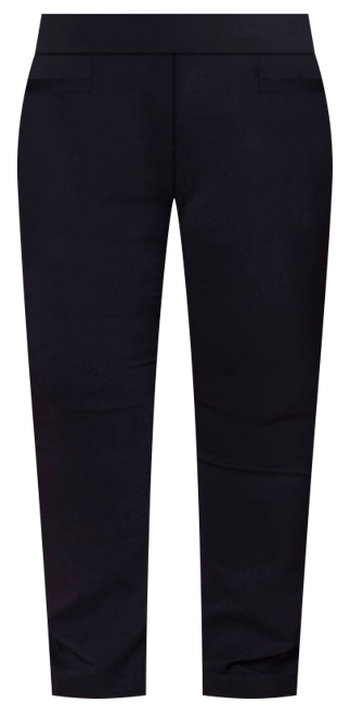 Wardrobe Staple Slim Full Leg Pant in Navy