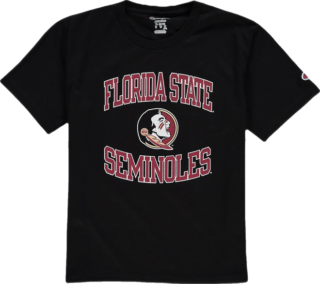 Big Boys  Black Florida State Seminoles Circling Team Jersey T-shirt