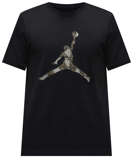 Jordan Sport Men's Dri-FIT T-Shirt